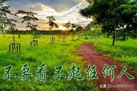 新东方背单词7-新东方背单词7年级上册