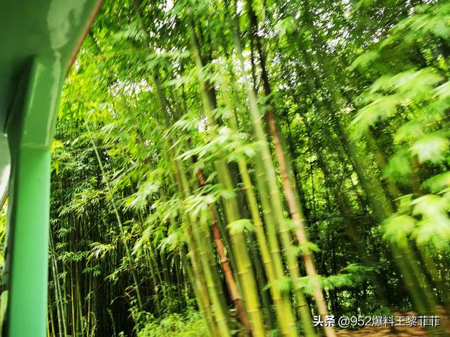 十月旅游攻略必去景点(图8)