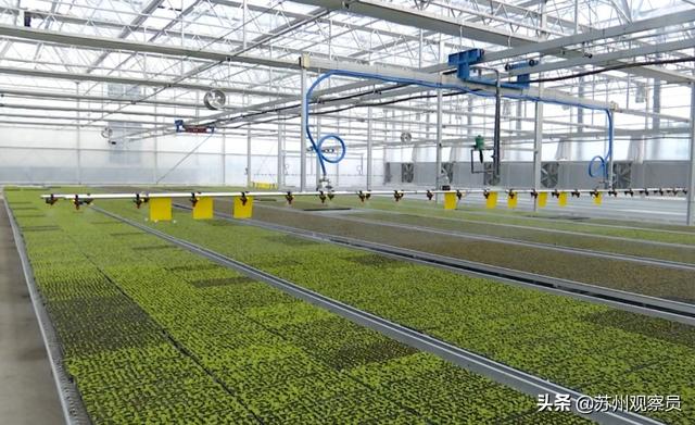 苏州市什么产业比较发达