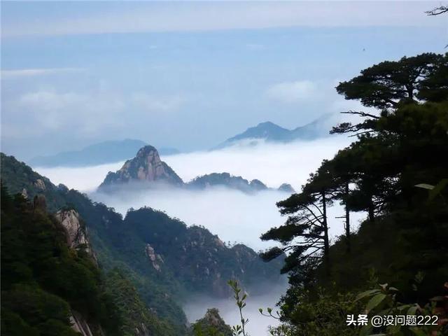 武夷山在福建的哪个省