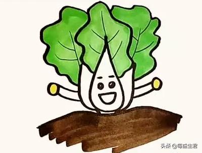 怎么画可以吃的蔬菜卡通(图8)