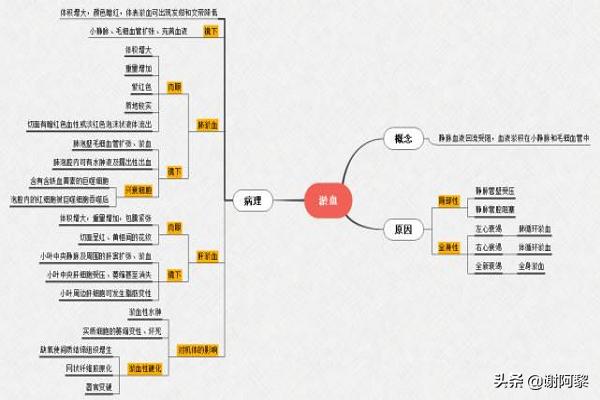 教你如何选择出最好用的免费思维导图软件？(xmind6怎么设置语言)