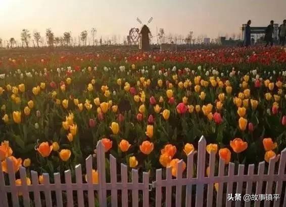 襄阳旅游攻略风车路线， 襄阳旅游攻略风车路线图
