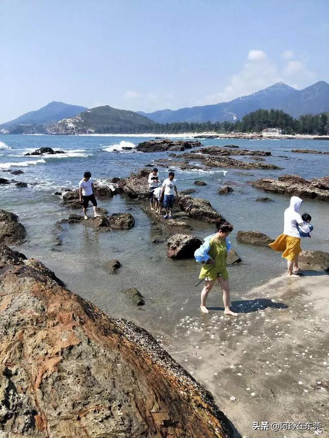 比基尼游泳衣女装（比基尼游泳衣女装舞蹈视频）