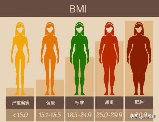 上身胖秋季如何搭配衣服(图2)