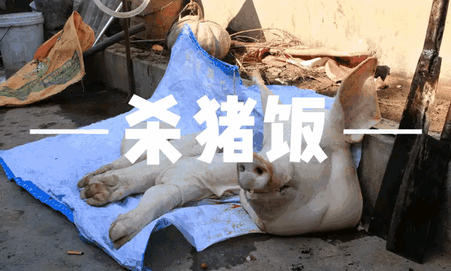 兰职伙食怎么样？