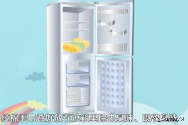 怎么去除冰箱异味(图10)