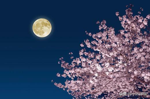 月亮撩人情话心上人（用月亮撩人的话）