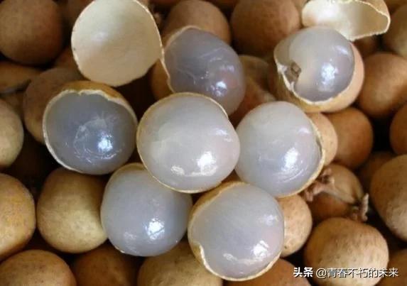 福建种什么瓜果