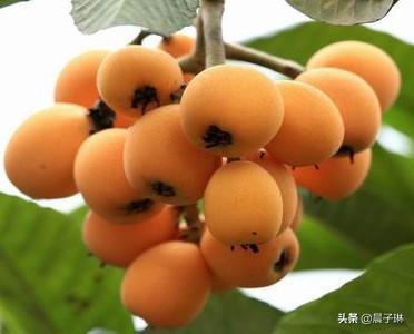 哈尔滨顶峰饲料公司-哈尔滨顶峰饲料公司地址