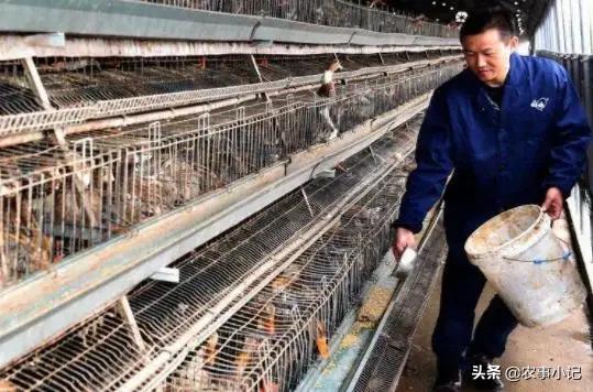 饲料科技与经济杂志-饲料科技与经济论坛