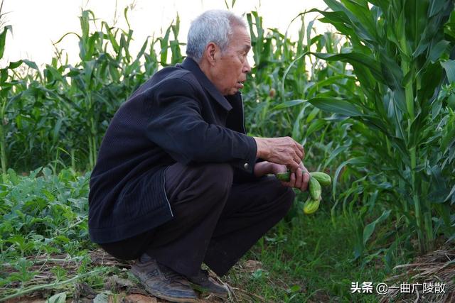 美食街坊 食谱制作图片,美食街坊 食谱制作图片大全