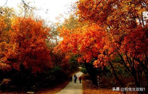 资兴旅游穿搭新疆， 资兴旅游网