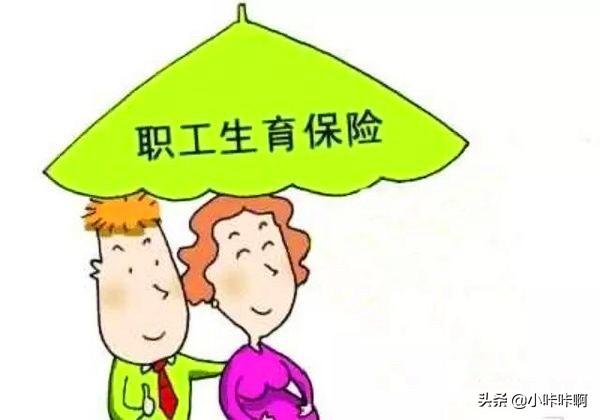 厦门的生育险报销标准是多少 厦门生育津贴网上报销流程？