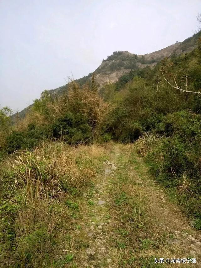表达“失意不得志”的诗词有哪些,人生失意时的古诗句子 - 句子网