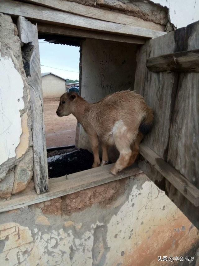 我有养殖场想找人投资怎么办 如何众筹一个新乡的生态养殖场？
