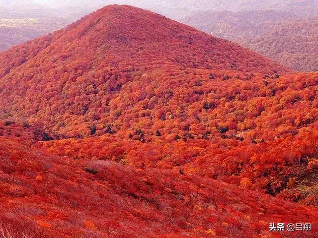 有一种心态叫淡定（有一种心态叫淡定的句子）