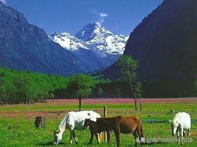 四姑娘山长坪沟旅游攻略-四姑娘山长坪沟旅游攻略自驾