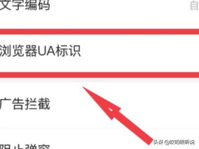 请问有哪些国外的视频网站可以打开？手机怎么进电脑版4399网页？
