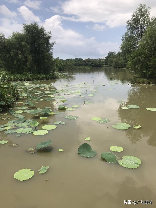 滨州到青岛有飞机吗？