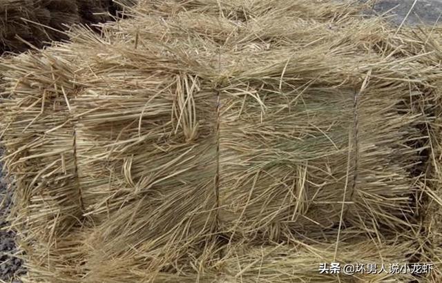 学做小龙虾-学做小龙虾的地方