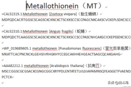 进化树的构建方法