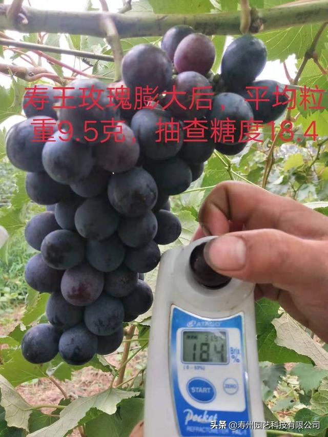 农村种什么最挣钱最快 在南方养殖什么或种殖什么赚钱快，成本低，好销售？