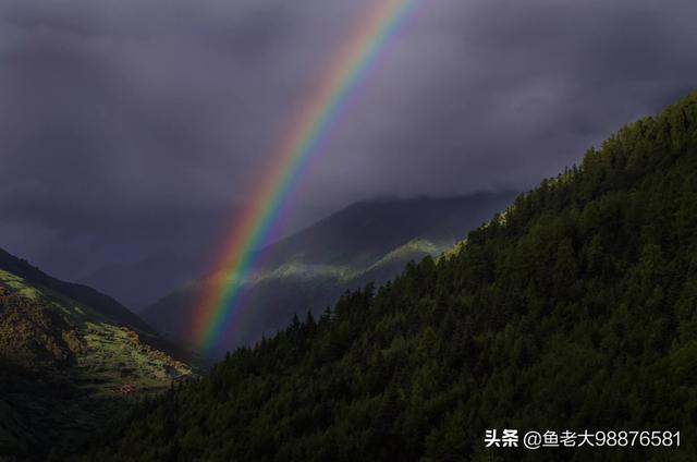 湛江二手丰田suv价格，湛江市壹鸣汽车销售服务有限公司