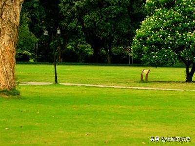 广州市有什么赏花