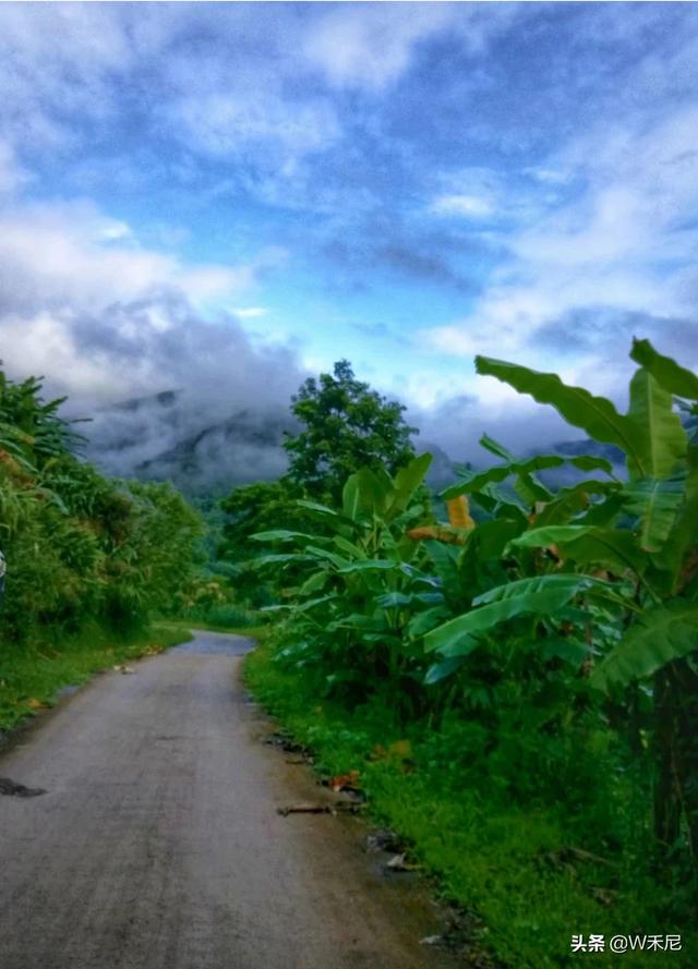 云南普洱市思茅区采摘园好一点的农家乐最好耍的有哪些,思茅环境好的农家乐