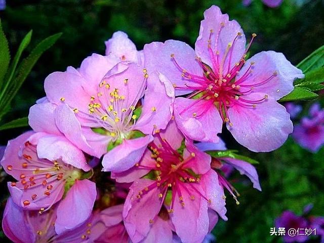 大露背裙子日常如何搭配(图3)