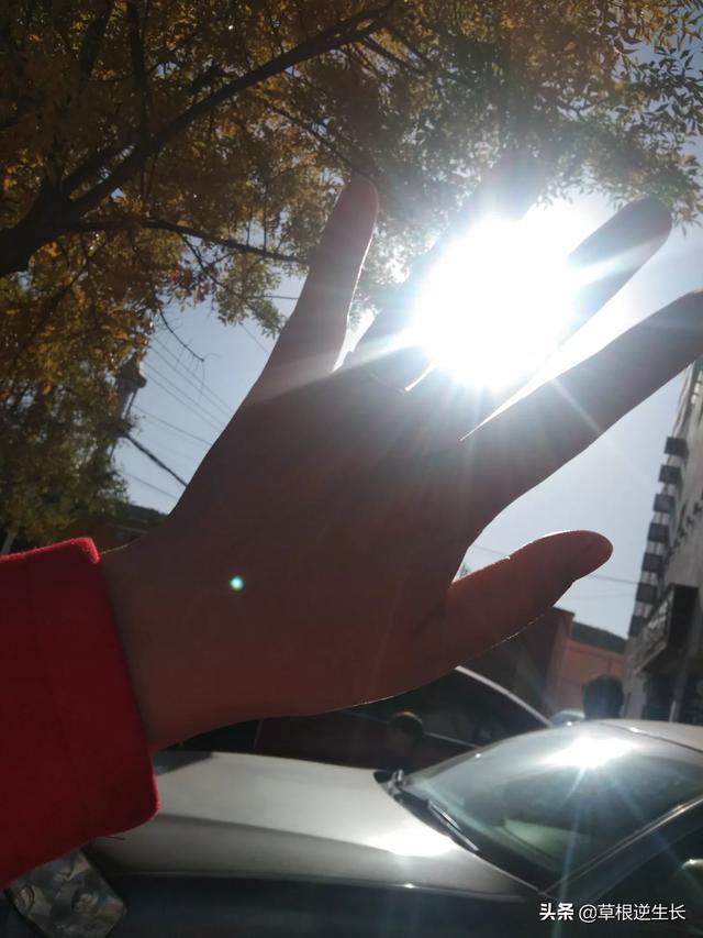 爱上离婚的女人怎么办