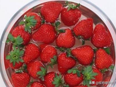 草莓冷冻有什么功效(图8)