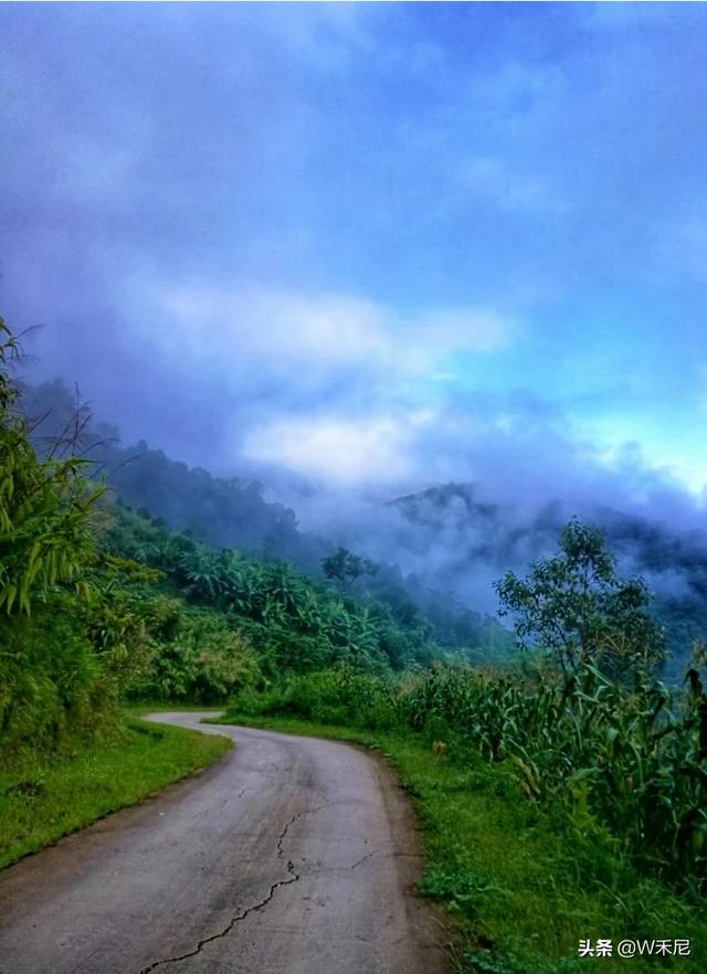 云南普洱市思茅区采摘园好一点的农家乐最好耍的有哪些,思茅环境好的农家乐