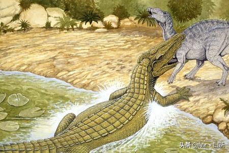 水中巨怪(自然传奇，水中巨怪几点播出？)