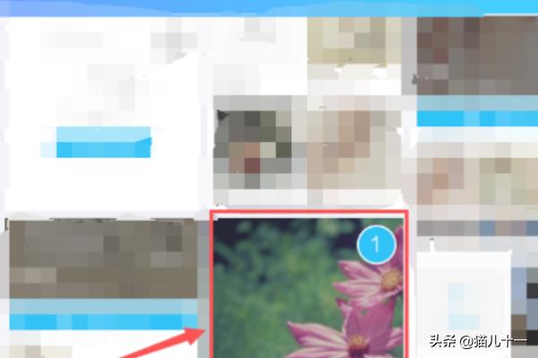 qq空间相册查看器破解版 qq空间相册查看器-第3张图片-随然AIR主题