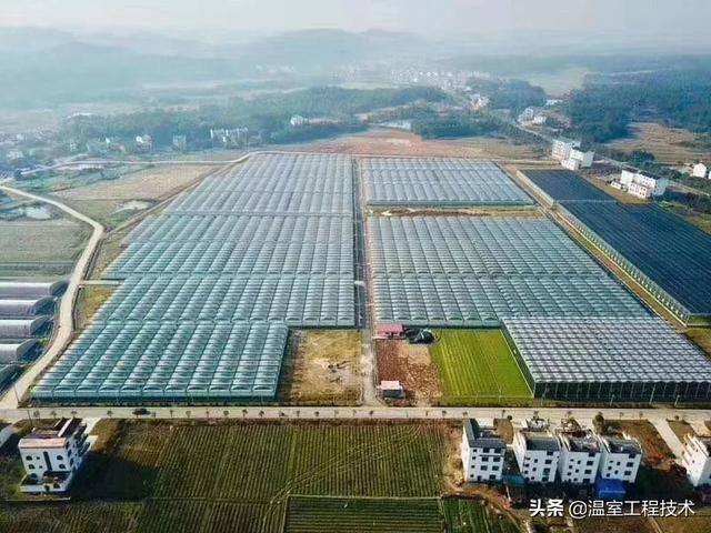 温室大棚造价预算表 5亩温室大棚建造费用明细？