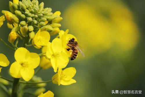 推荐10部百看不厌的经典电影