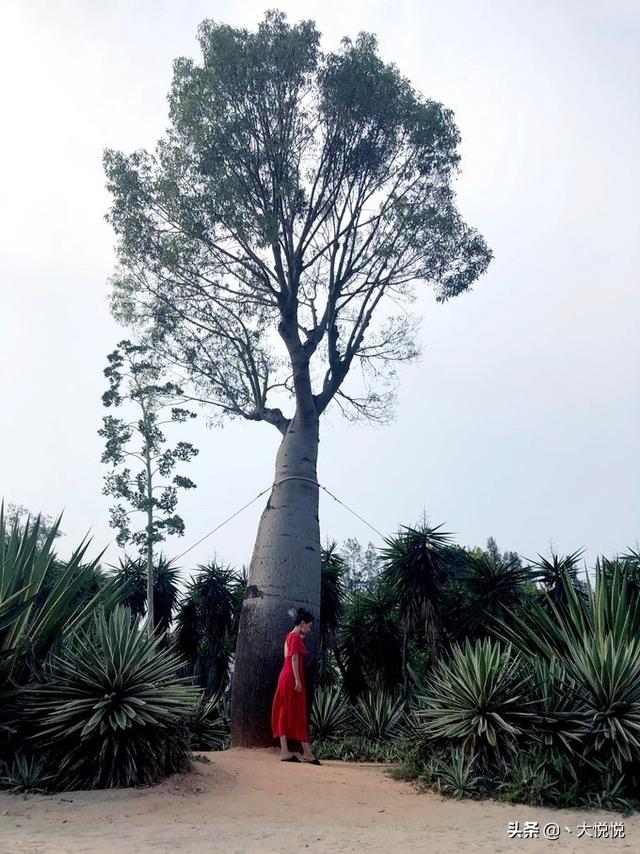 中秋旅游-中秋旅游景点推荐