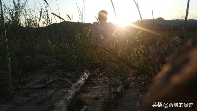 浙江省丽水市松阳县纸飞机账号购买经验