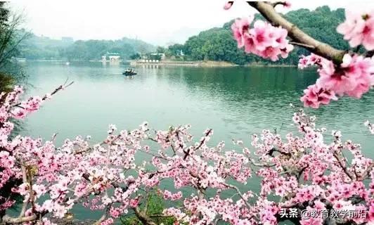 星河欲转千帆舞的意思（星河欲转千帆舞上一句）