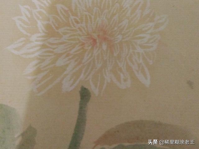 怎么画菊花卉?怎么画菊花卉图片!