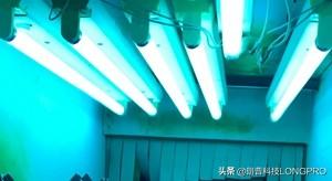 如何杀病毒(如何杀病毒Trojan)