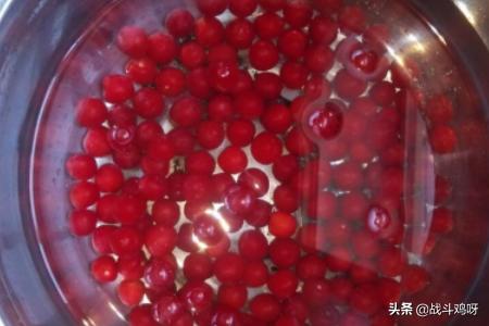 樱桃果汁-樱桃果汁月季