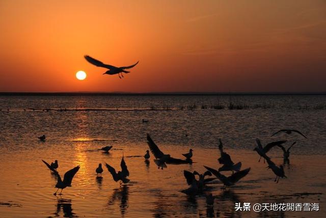 浙江清净旅游景点大全排名， 浙江清净的旅游地方