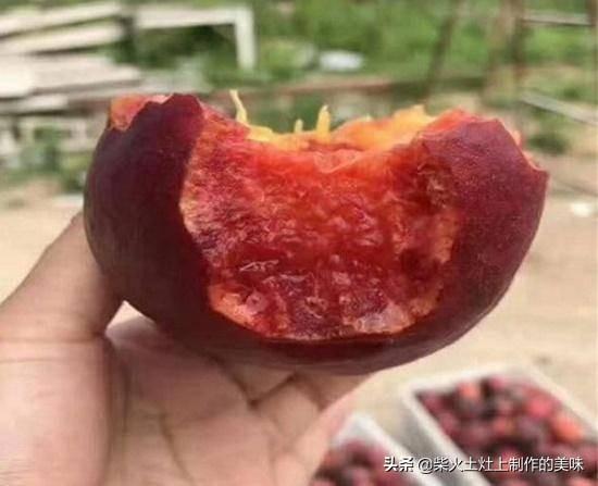 高山菜做法家常做法大全(图33)