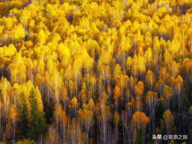 十月一去哪里玩好玩-十月一去哪里玩好玩离黄山市近一点的