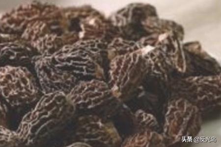 新鲜羊肚菌怎么保存(图6)