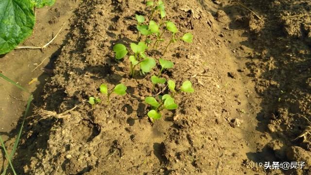 家里安装空气能热水器，热水要打开约一分钟才有，同时用水，热水水流会很小，请问解决办法？：大时间