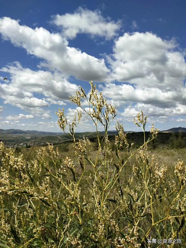 榆林市靖边县纸飞机账号购买服务